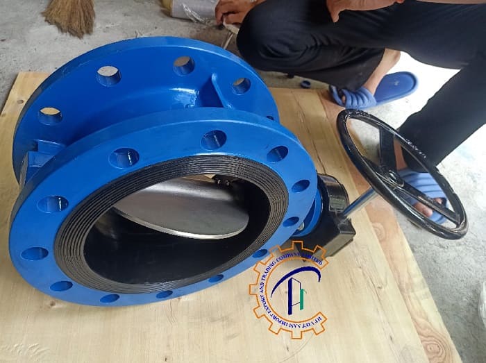 van-buom-tay-quay-dn300-mat-bich