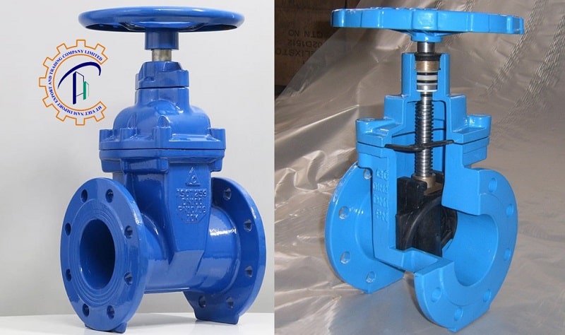 van cong ty chim shinyi