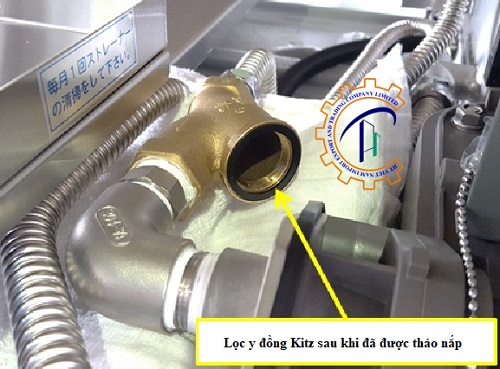 Lọc Y đồng Kitz 14 ve-sinh-y-loc