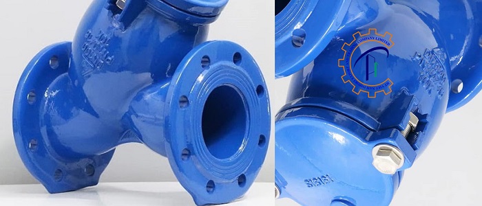 Lọc y gang lắp bích 18 y-loc-gang-shinyi