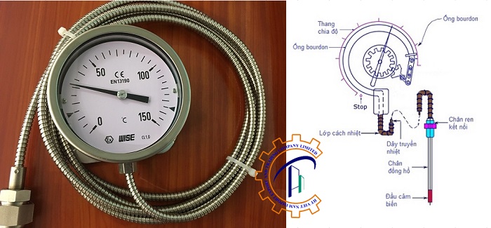 cau-tao-dong-ho-do-nhiet-dang-day