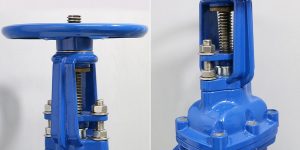 van-cong-ty-noi-samwpp