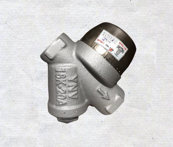 bay-hoi-dong-tien-ynv