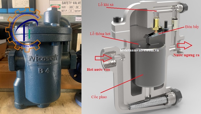 cau-tao-bay-hoi-nicoson