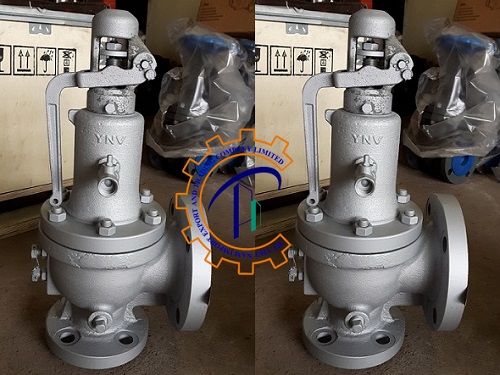 safety-valve-ynv