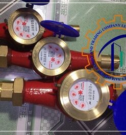 dong-ho-do-nuoc-nong-dn25