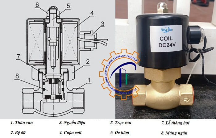 cau-tao-van-dien-tu-hewcho