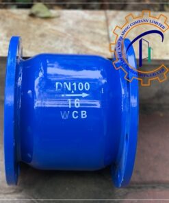 van-mot-chieu-lo-xo-dn100