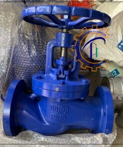 van-cau-gang-dn100-pn16