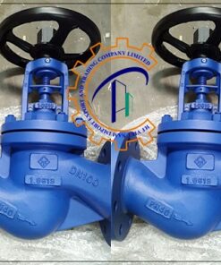 van-cau-hoi-dn100-pn16