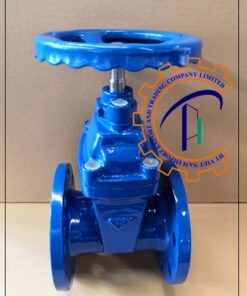 van-cong-gang-sw-dn200