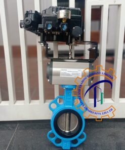 van-buom-hai-mat-bich