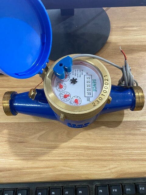 dong-ho-nuoc-sence-dang-co