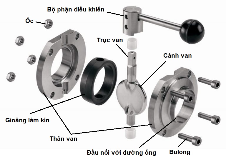 Cau-tao-van-buom-vi-sinh