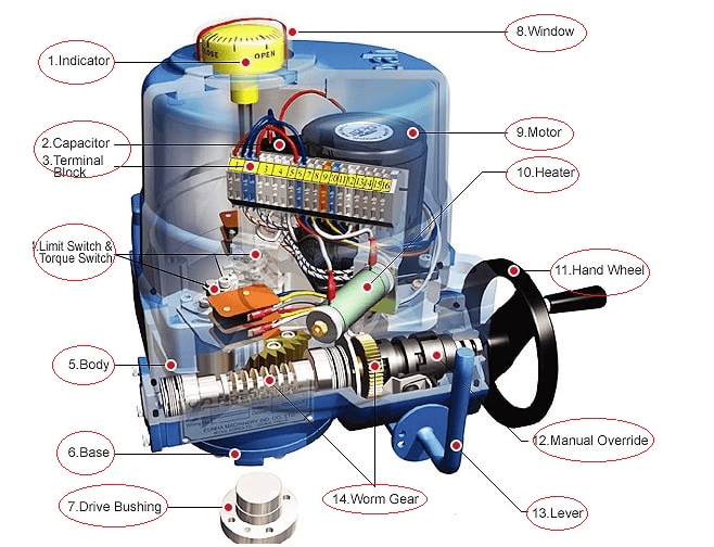 cau-tao-bo-truyen-dong-dien