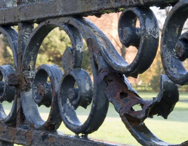 gang-trong-moi-truong-tu-nhien