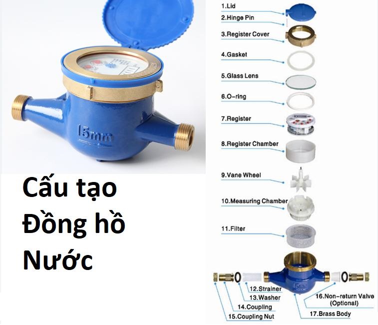 cau-tao-dong-ho-nuoc-sence-dang-co