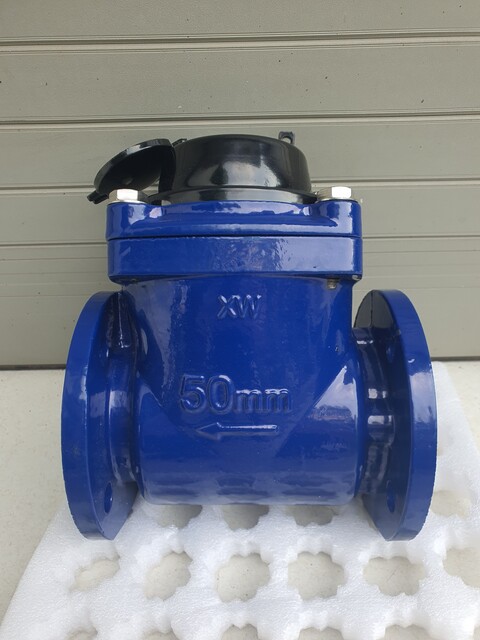 dong-ho-nuoc-chan-ngang-sence nuoc-thai