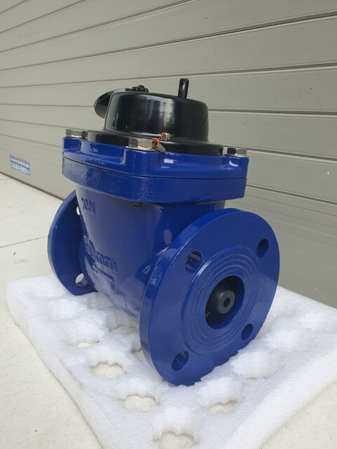 dong-ho-do-nuoc-thai-sence-dạng-co