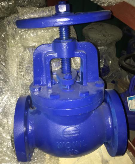 Hình ảnh thực tế của van cầu hơi Hàn Quốc nhập khẩu tại XNK HT