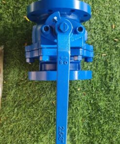 Van-bi-gang-Wonil-Han-Quoc